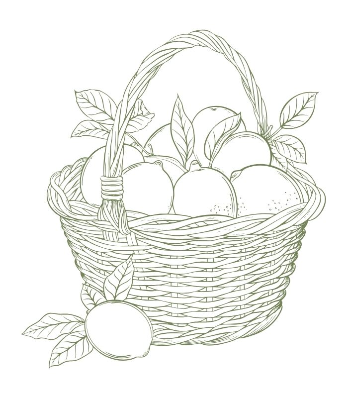 basket